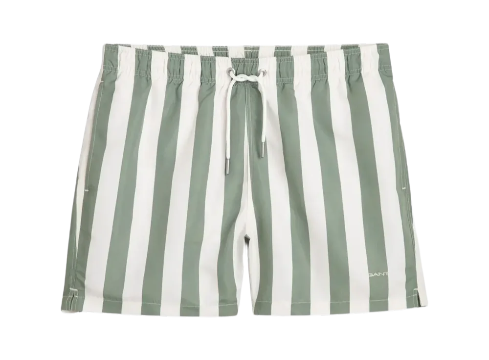 Block Stripe Swim Shorts