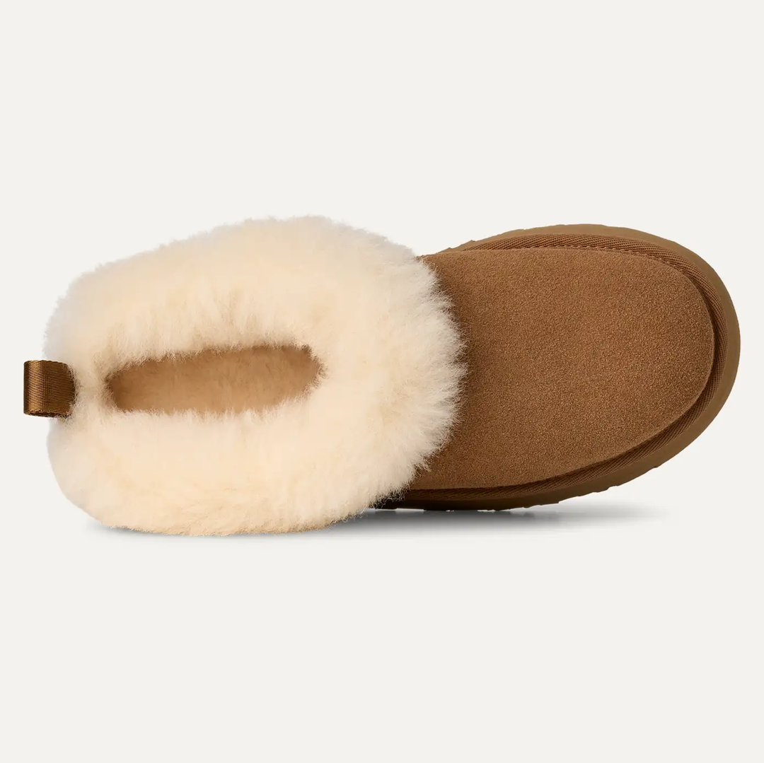 Tazzelle Slippers
