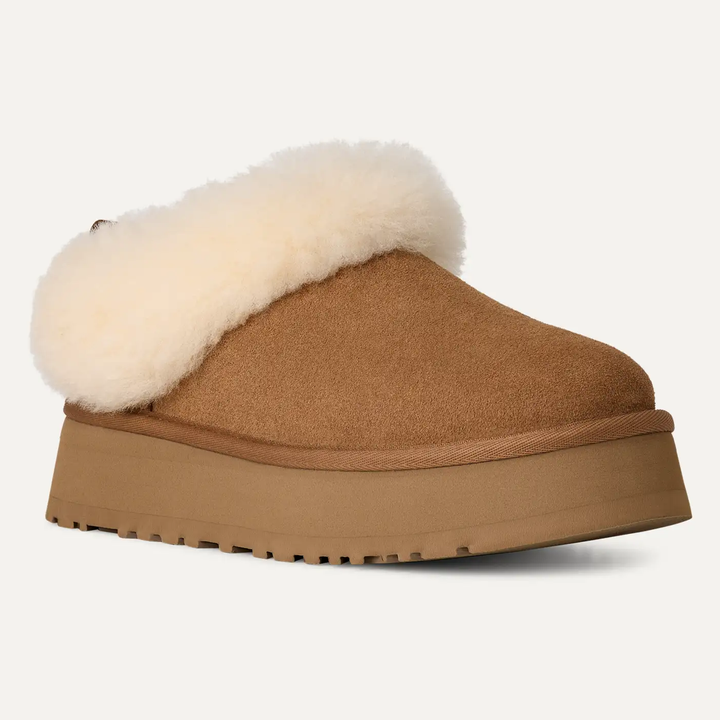 Tazzelle Slippers