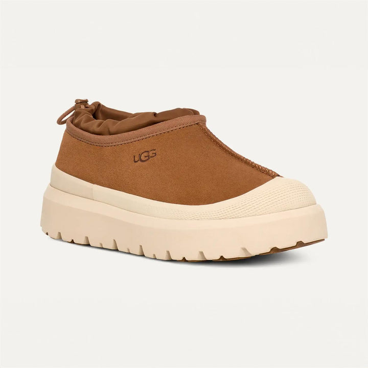 M Tasman Weather Hybrid