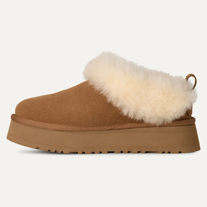 Tazzelle Slippers