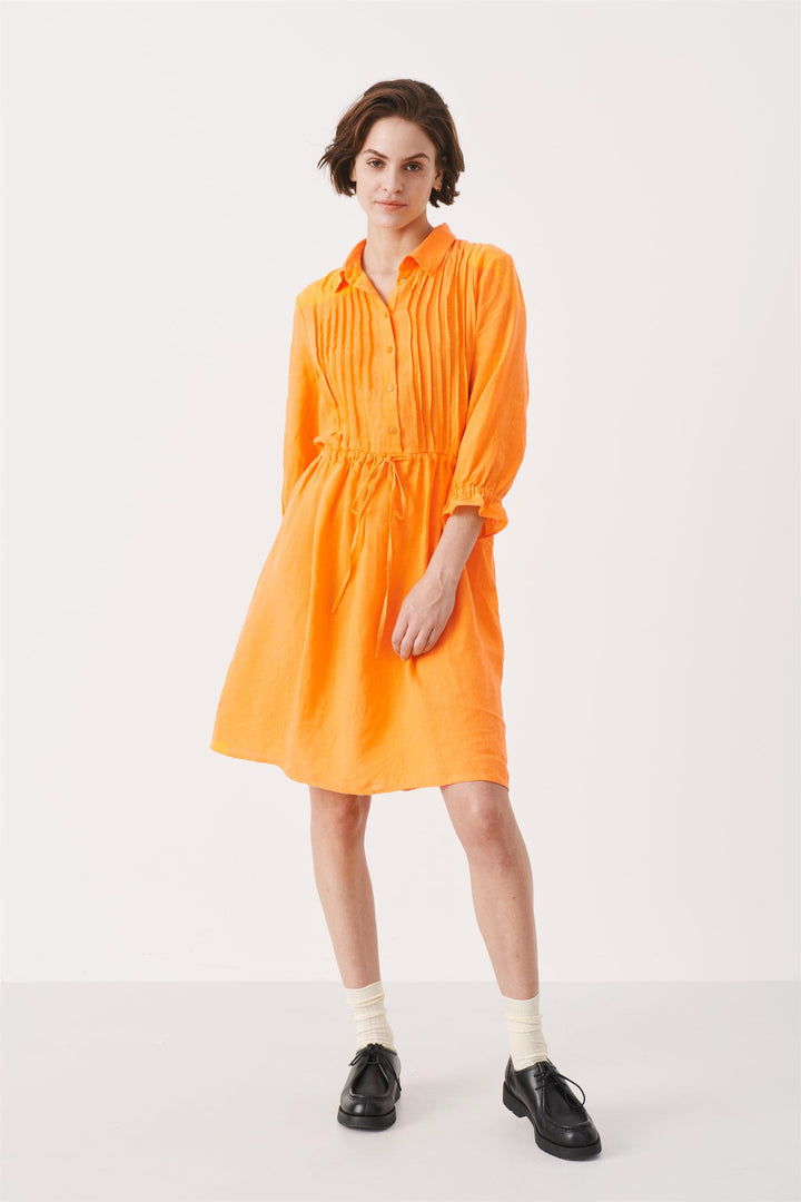 SalliePW Shirt Dress