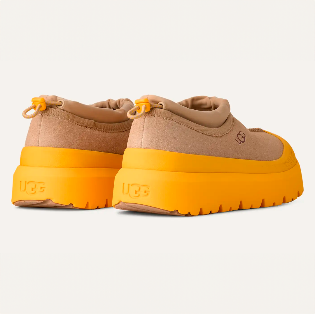 M Tasman Weather Hybrid