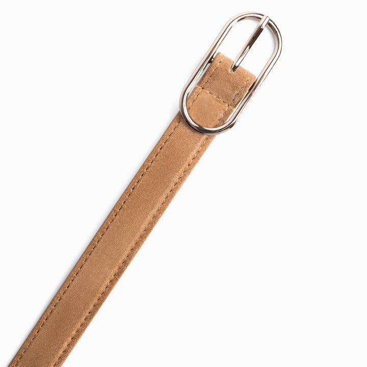 BUSINESS BELT