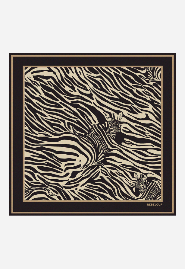 clara silk scarf