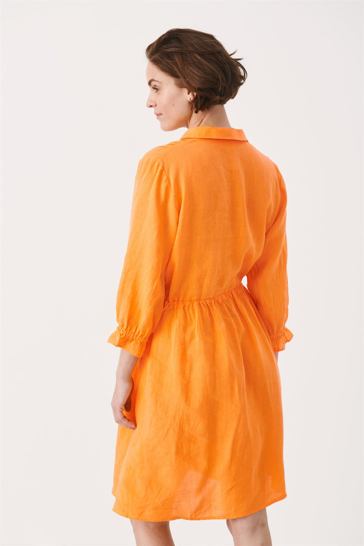 SalliePW Shirt Dress