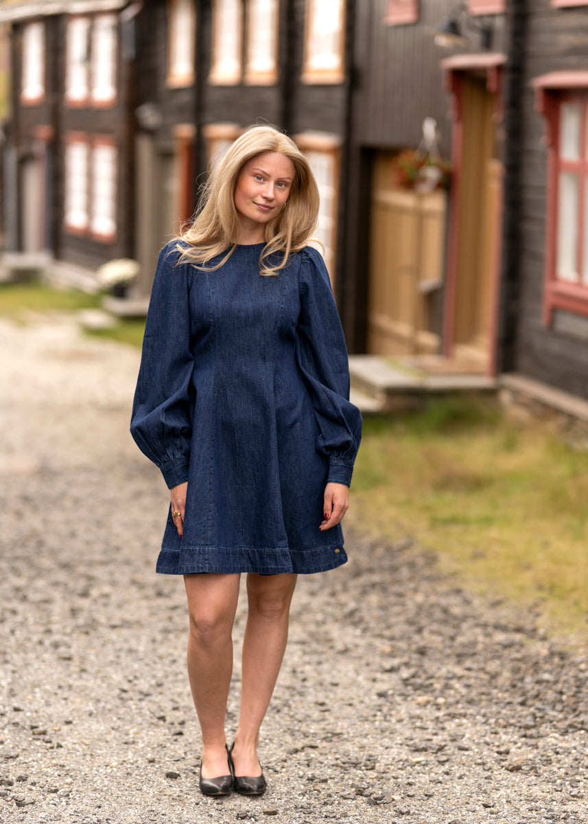 Denim fitted dress