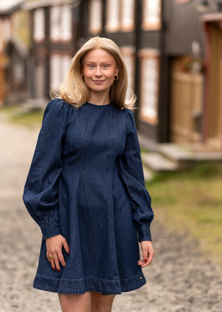 Denim fitted dress