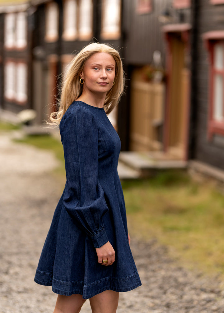 Denim fitted dress