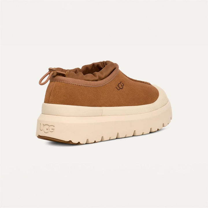 M Tasman Weather Hybrid