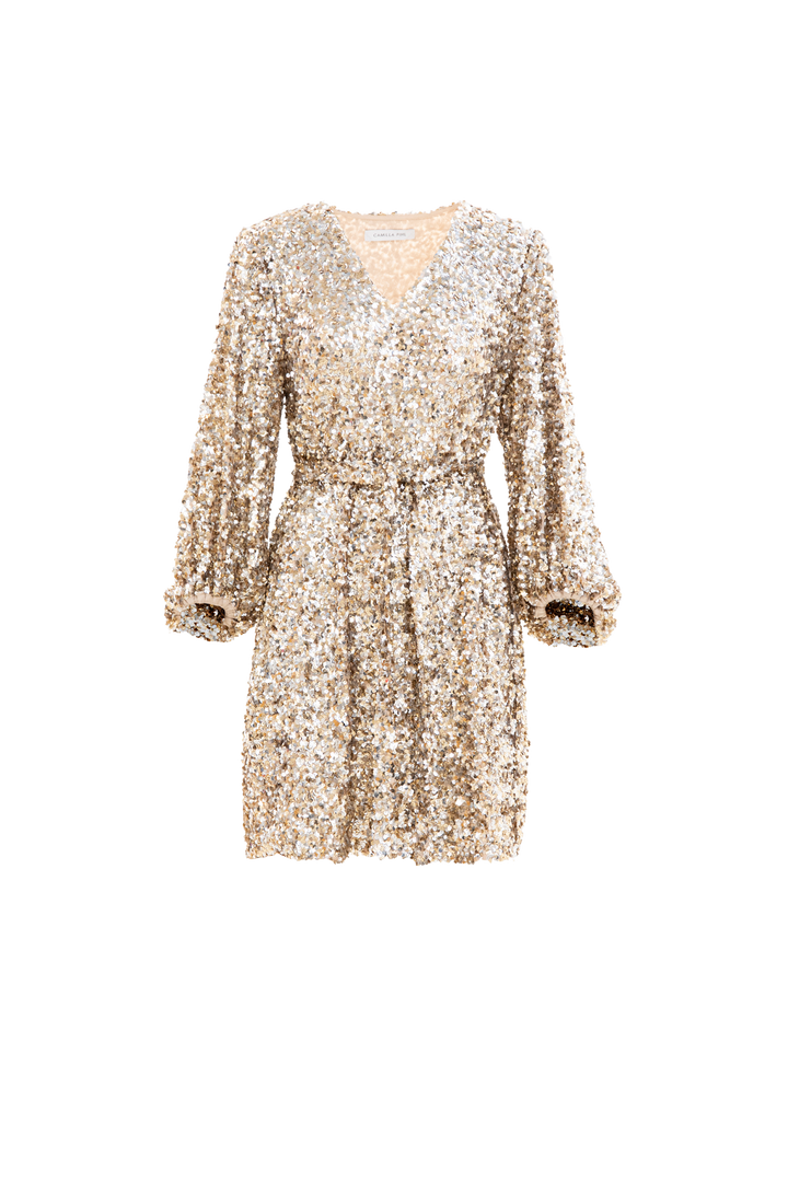 Bianca Sequin Dress