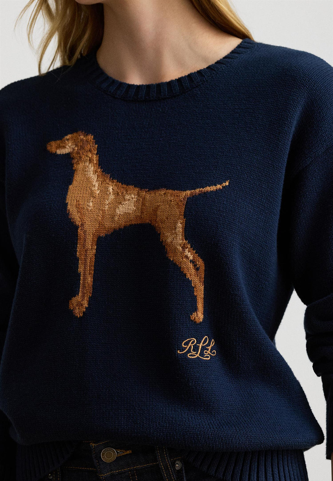 Intarsia-Knit Vizsla Cotton Sweater