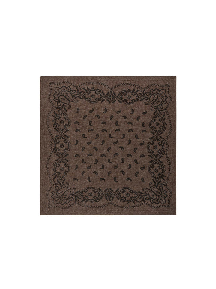 Adelina Paisley Knit Scarf