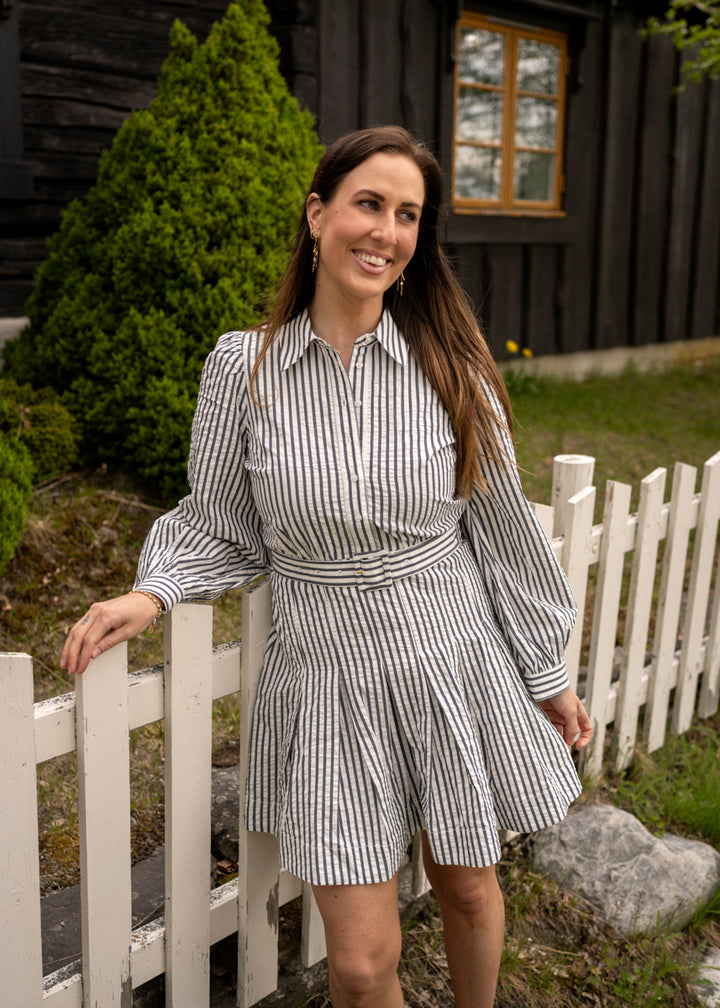 Seersucker Pleated Dress