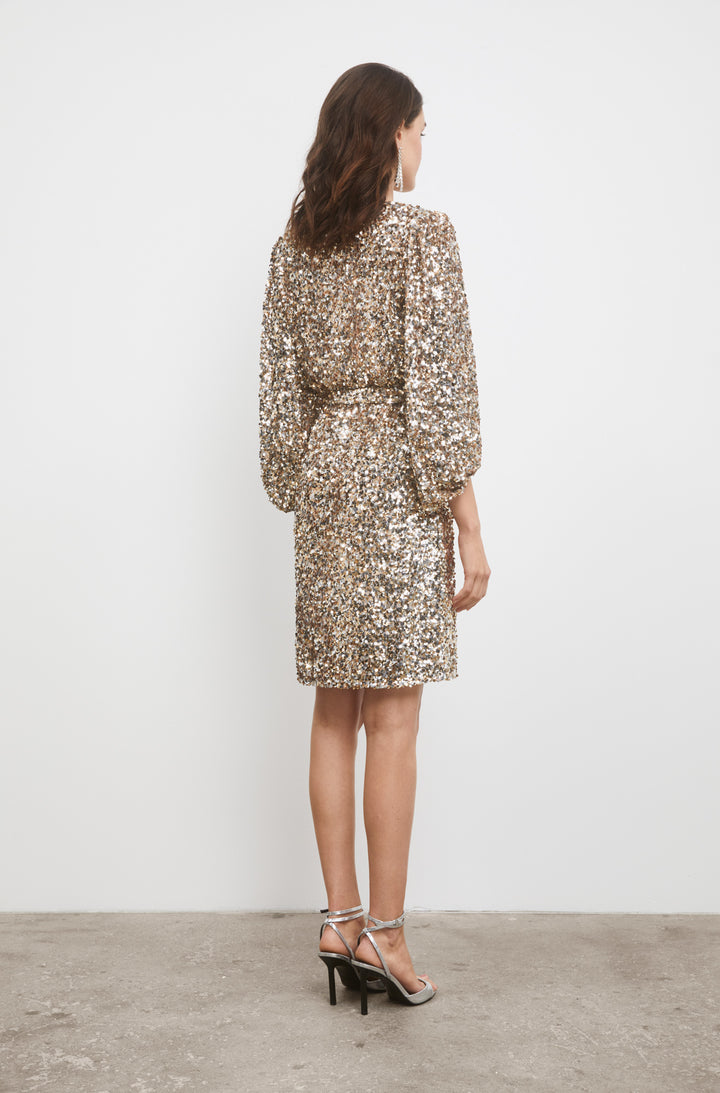 Bianca Sequin Dress